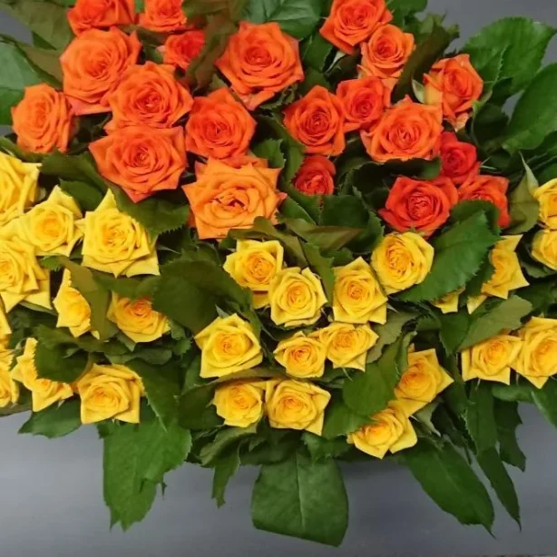 特売品 スプレー品種１輪