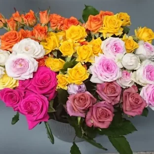 非公開: 画像サイズ