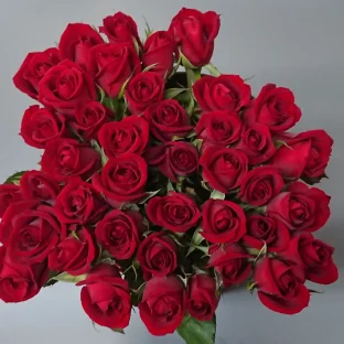 特売品 40本 バラ 生花