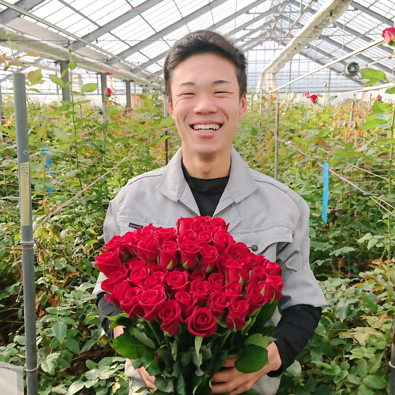 大切な方へバラを贈ろう | 西山バラ園